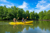 สลักคอก Kayaking หรือ Gondola