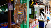 หมู่บ้านชาวประมง บางเบ้า
