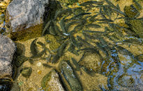 น้ำตกคลองพลู