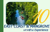 เกาะช้าง East Coast & Mangrove Experience