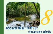 ธรรมชาติเกาะช้าง: ทัวร์ส่วนตัว เต็มวัน