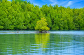 สลัดคอก Kayaking หรือ Gondola สลัดคอก Kayaking หรือ Gondola