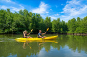 สลัดคอก Kayaking หรือ Gondola สลัดคอก Kayaking หรือ Gondola