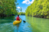 สลัดคอก Kayaking หรือ Gondola สลัดคอก Kayaking หรือ Gondola