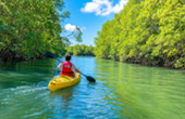 สลักคอก Kayaking หรือ Gondola