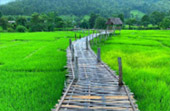 North Weird: 5 วัน 4 คืน เชียงราย เชียงใหม่ แม่ฮ่องสอน North Weird: 5 วัน 4 คืน เชียงราย เชียงใหม่ แม่ฮ่องสอน