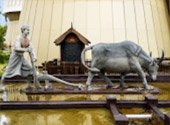 Paddy Museum พิพิธภัณฑ์ข้าว