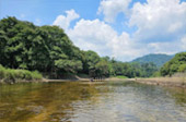 The Sanctity of Life: 4 วัน 3 เบตง ปีนัง หาดใหญ่