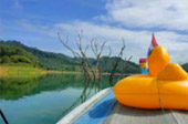 The Sanctity of Life: 4 วัน 3 เบตง ปีนัง หาดใหญ่