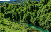 อุทยานแห่งชาติ น้ำตกเอราวัณ