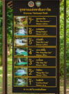 เอราวัณ - น้ำตก 7 ชั้น เอราวัณ - น้ำตก 7 ชั้น