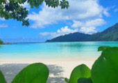 เกาะสุรินทร์ Full Day: จากเขาหลัก เกาะสุรินทร์ Full Day: จากเขาหลัก
