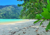 เกาะสุรินทร์ Full Day: จากเขาหลัก เกาะสุรินทร์ Full Day: จากเขาหลัก