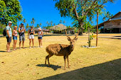 เกาะกระดาด เกาะกระดาด
