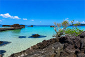 เกาะขาม