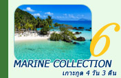 เกาะกูด 4 วัน 3 คืน Marine Collection