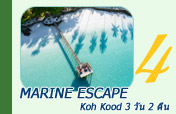 Koh Kood Marine Escape 3 วัน 2 คืน