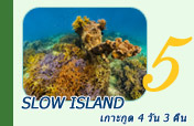 เกาะกูด Slow Island 4 วัน 3 คืน