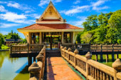 ไทรงามแห่งโคราช
