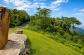 Forest Road