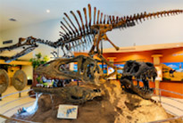โคราช Geo Park