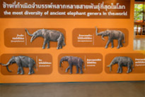 โคราช Geo Park