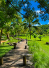 Series Resort Khao Yai