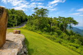 Forest Road