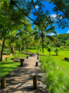 Series Resort Khao Yai