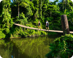 เขาใหญ่ 4 วัน 3 คืน Nature Experience เขาใหญ่ 4 วัน 3 คืน Nature Experience