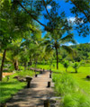 Series Resort Khao Yai