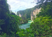 เกาะห้องเต็มวัน / กับครอบครัว เกาะห้องเต็มวัน / กับครอบครัว