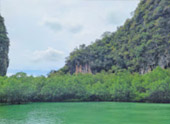 เกาะห้องเต็มวัน / กับครอบครัว เกาะห้องเต็มวัน / กับครอบครัว
