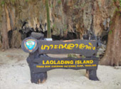 เกาะห้องเต็มวัน / กับครอบครัว เกาะห้องเต็มวัน / กับครอบครัว