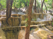 Quicksand Beach: หลีเป๊ะ 3 วัน 2 คืน