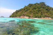 Lipe Concerns: สวยสุดที่น้ำตื้น เกาะหลีเป๊ะ