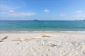 Quicksand Beach: หลีเป๊ะ 3 วัน 2 คืน