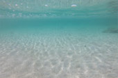 Quicksand Beach: หลีเป๊ะ 3 วัน 2 คืน