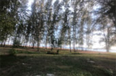 Quicksand Beach: หลีเป๊ะ 3 วัน 2 คืน