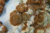 Radiate 4 คืน 5 วัน :หาดใหญ่ เบตง หลีเป๊ะ