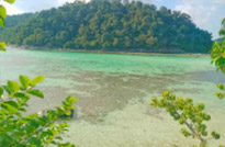 Lipe Concerns: สวยสุดที่น้ำตื้น เกาะหลีเป๊ะ
