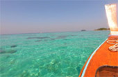 Lipe Concerns: สวยสุดที่น้ำตื้น เกาะหลีเป๊ะ