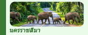 ทริปท่องเที่ยวนครราชสีมา