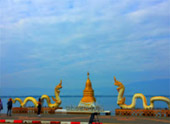 Water Mitty : 8 วันเปลี่ยนตัวเอง