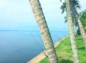 Water Mitty : 8 วันเปลี่ยนตัวเอง