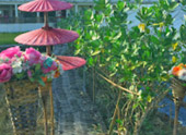 Priori Knowledge ที่น่าน 2 วัน 1 คืน