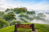 ดอยเสมอดาว
