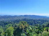 ORT เกลือ น้ำตาล น้ำ ค้นพบ สำรวจให้ตะลึง เขาค้อ เชียงคาน 3 วัน 2 คืน