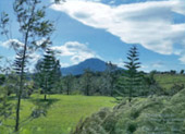 ORT เกลือ น้ำตาล น้ำ ค้นพบ สำรวจให้ตะลึง เขาค้อ เชียงคาน 3 วัน 2 คืน
