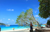 The sea you dream of ภูเก็ต 3 วัน 2 คืน